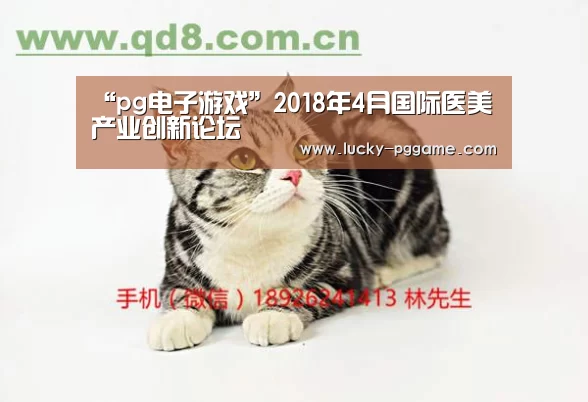 pg电子游戏
