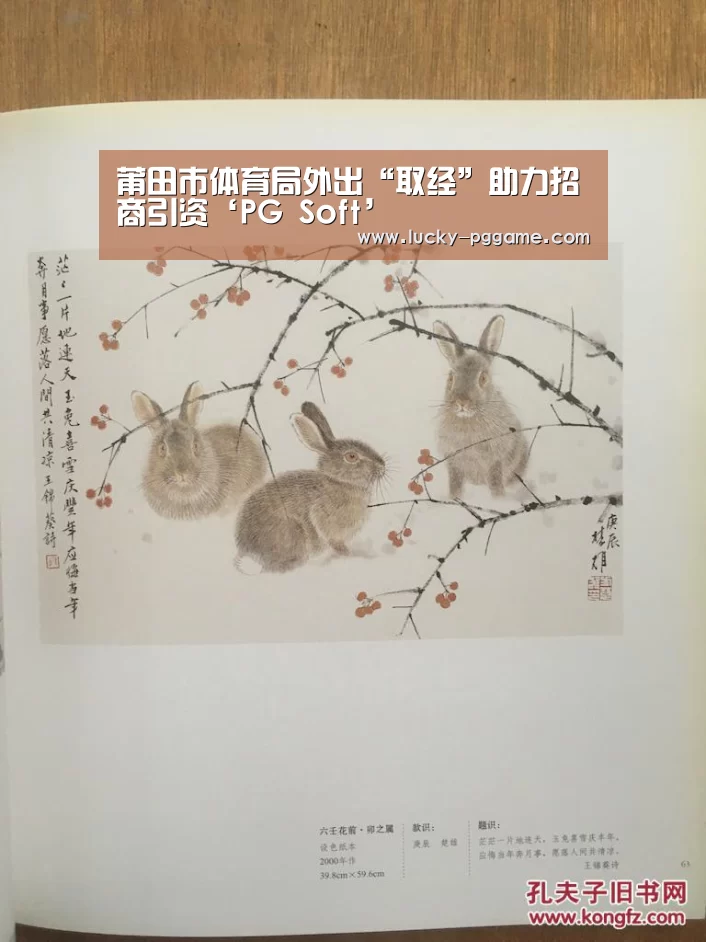 pg电子模拟器