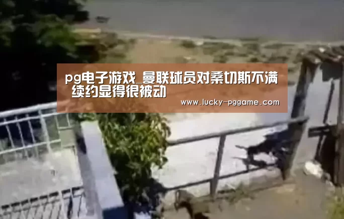 pg电子游戏_曼联球员对桑切斯不满 续约显得很被动