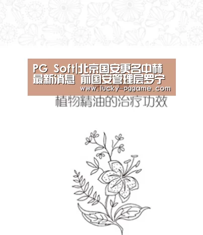 pg电子模拟器